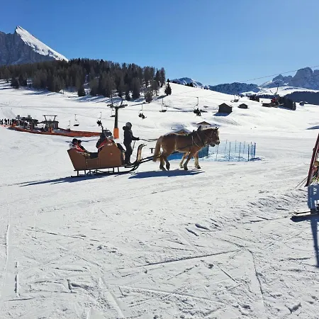 Groden Aparthotel Santa Cristina Val Gardena